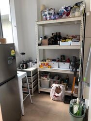 Balmoral Hills (D10), Condominium #500210261